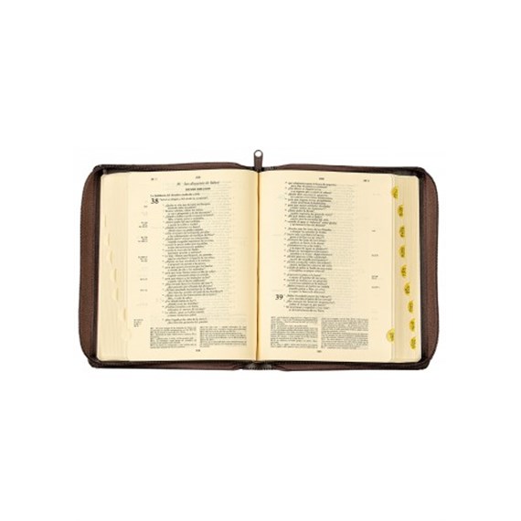 BIBLIA DE JERUSALÉN MANUAL CREMALLERA   NUEVA EDICIÓN 2019